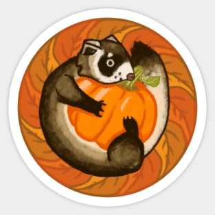 Black-Footed Ferret Pumpkin Sticker